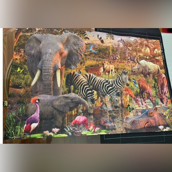 Ravensburger Safari Adventure Puzzle - Multicolor 3000 pieces 48”x30” #AFR - Picture 1 of 7